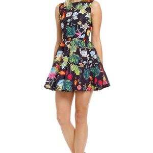 Camilla & Marc Cosmic Gardens Revival Floral Mini Dress Size 6
